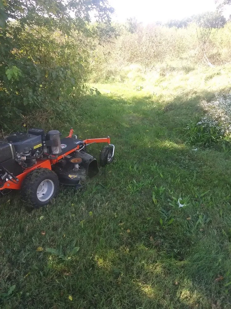 Expert yard cleanup service in Jennings, MO by T And G Solutions