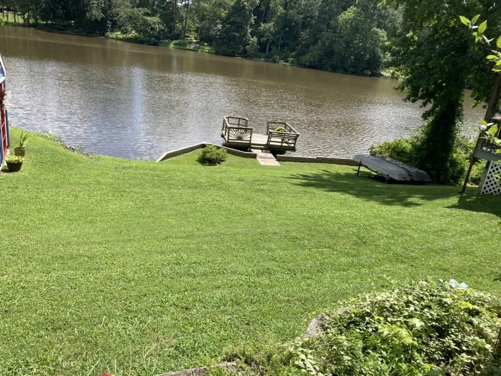 Trusted yard cleanup service experts serving Colonial Heights, VA - T and J Fine Cut