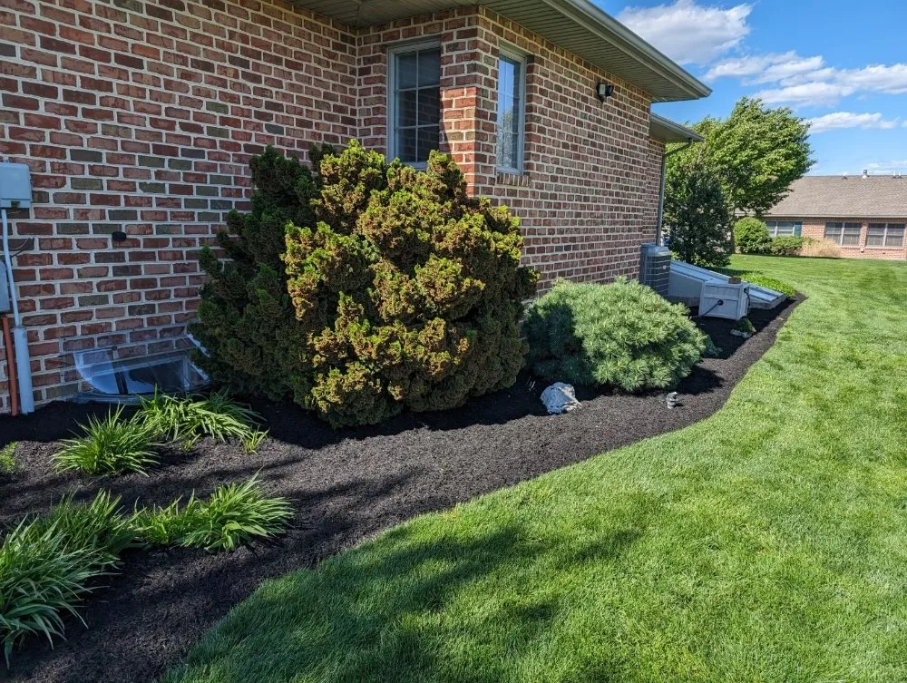 Expert yard cleanup service experts serving Fayetteville, PA - T And R Outdoor Services