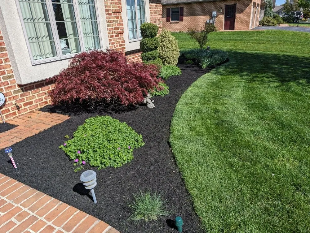 Top-rated yard maintenance in Fayetteville, PA - T And R Outdoor Services