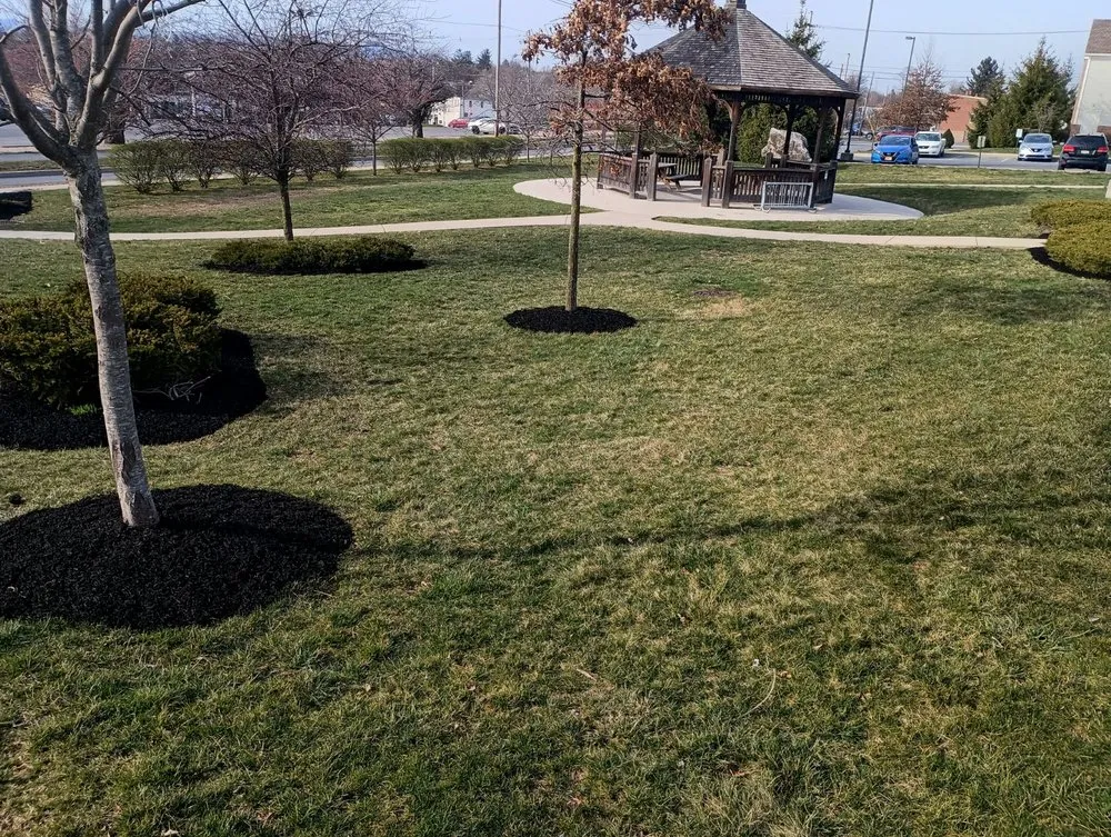 Expert yard cleanup service in Fayetteville, PA by T And R Outdoor Services