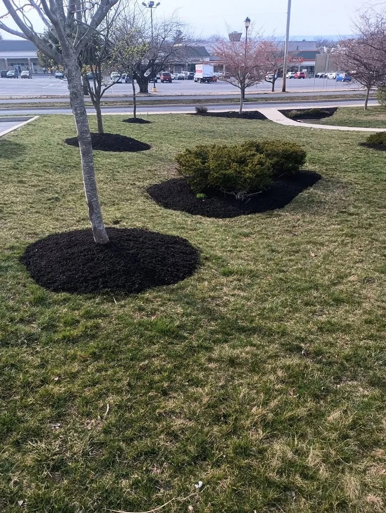Reliable landscaping services for outdoor upgrades in Fayetteville, PA by T And R Outdoor Services