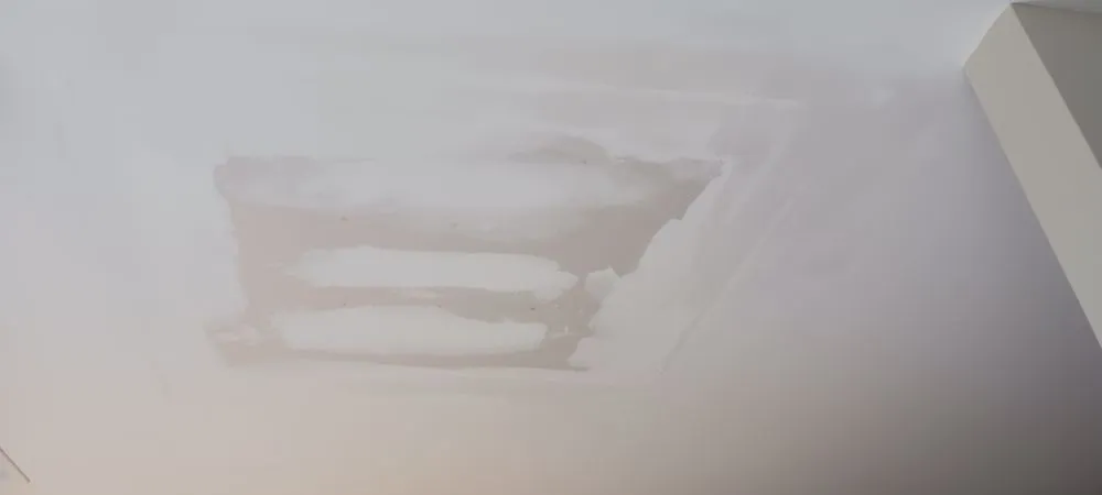 Affordable landscape design experts serving Lexington, NC - T and S Handyman and landscaping