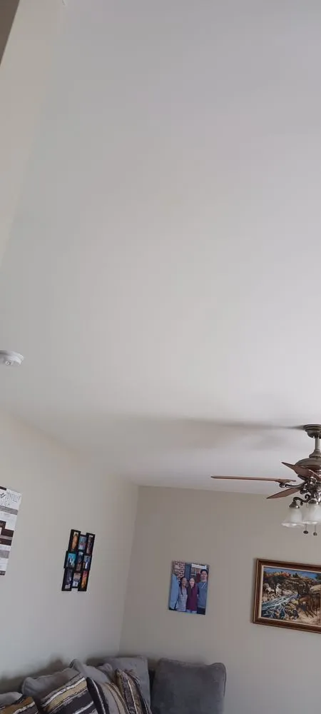 Expert yard cleanup service in Lexington, NC - T and S Handyman and landscaping