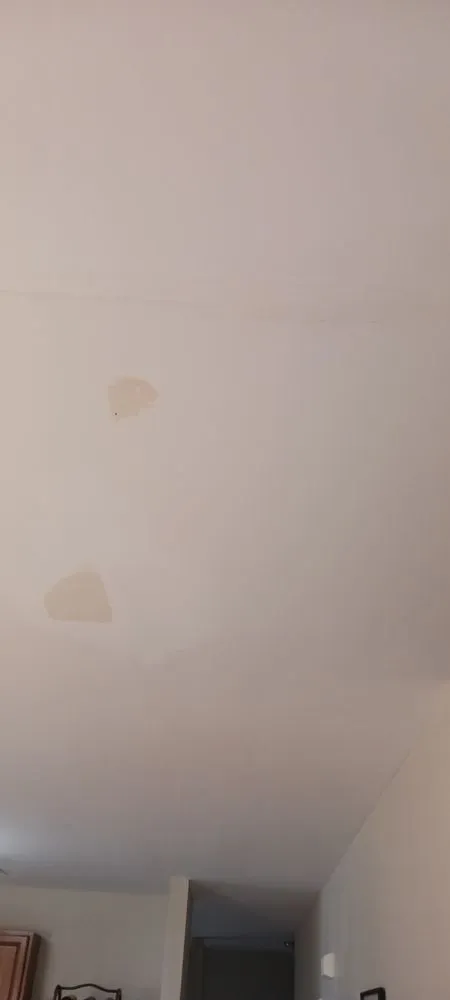 Expert lawn care service in Lexington, NC by T and S Handyman and landscaping