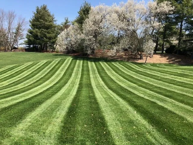 Top-rated yard cleanup service in Ellisville, MO by T and T Lawn Care