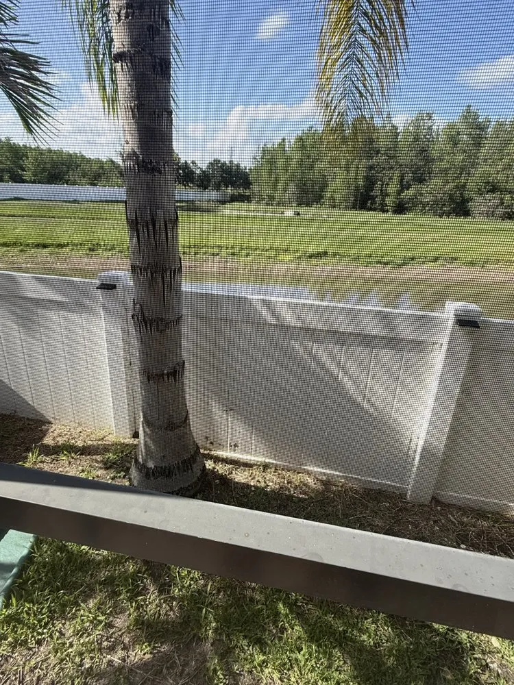 Trusted yard cleanup service in Zephyrhills, FL - T And T Strong