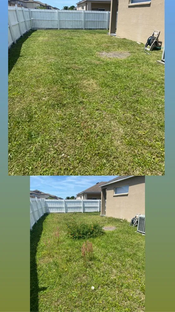 Custom lawn care service in Zephyrhills, FL by T And T Strong