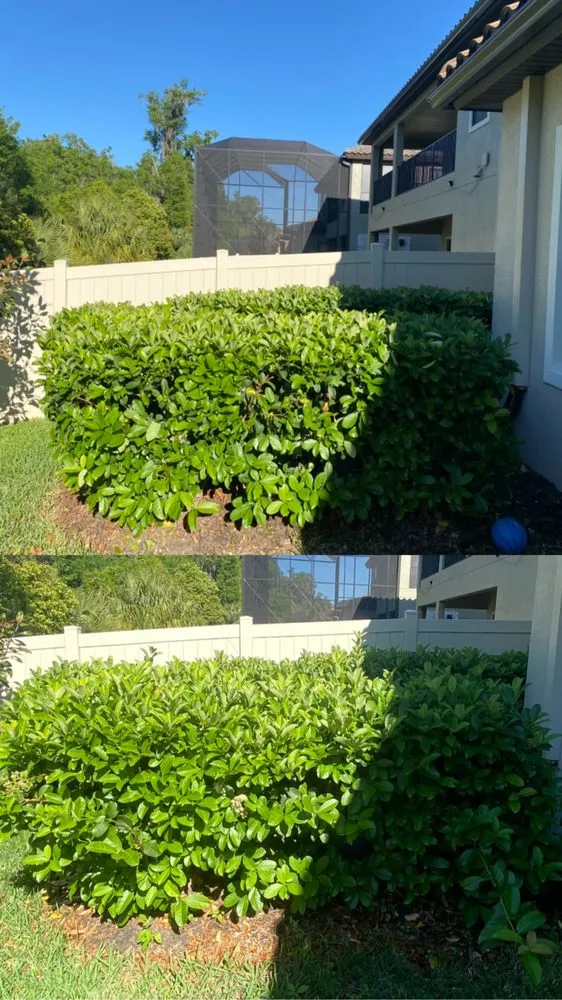 Expert yard maintenance in Zephyrhills, FL by T And T Strong