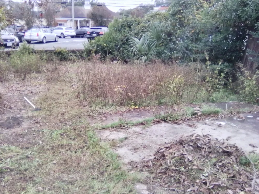 Affordable landscaping services in Albany, GA - T And Tee's Lawns And More