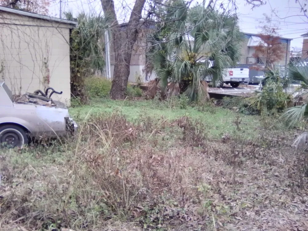 Reliable yard cleanup service in Albany, GA by T And Tee's Lawns And More