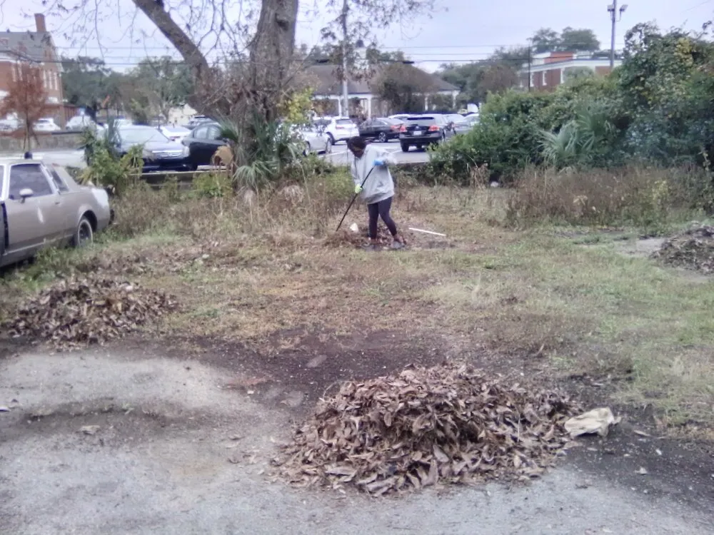 Local landscape installation in Albany, GA - T And Tee's Lawns And More