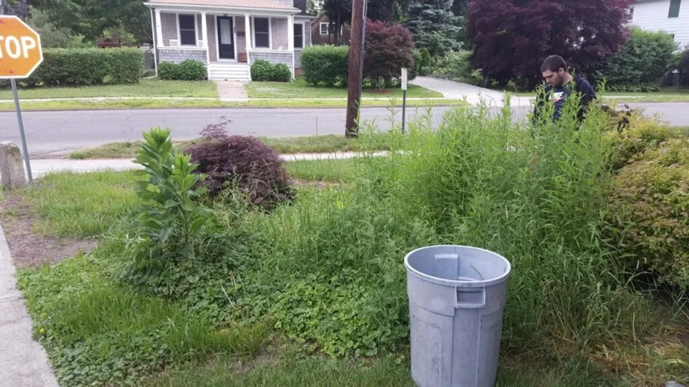 Top-rated residential landscaping near you in Guilford, CT by T and W Landscaping