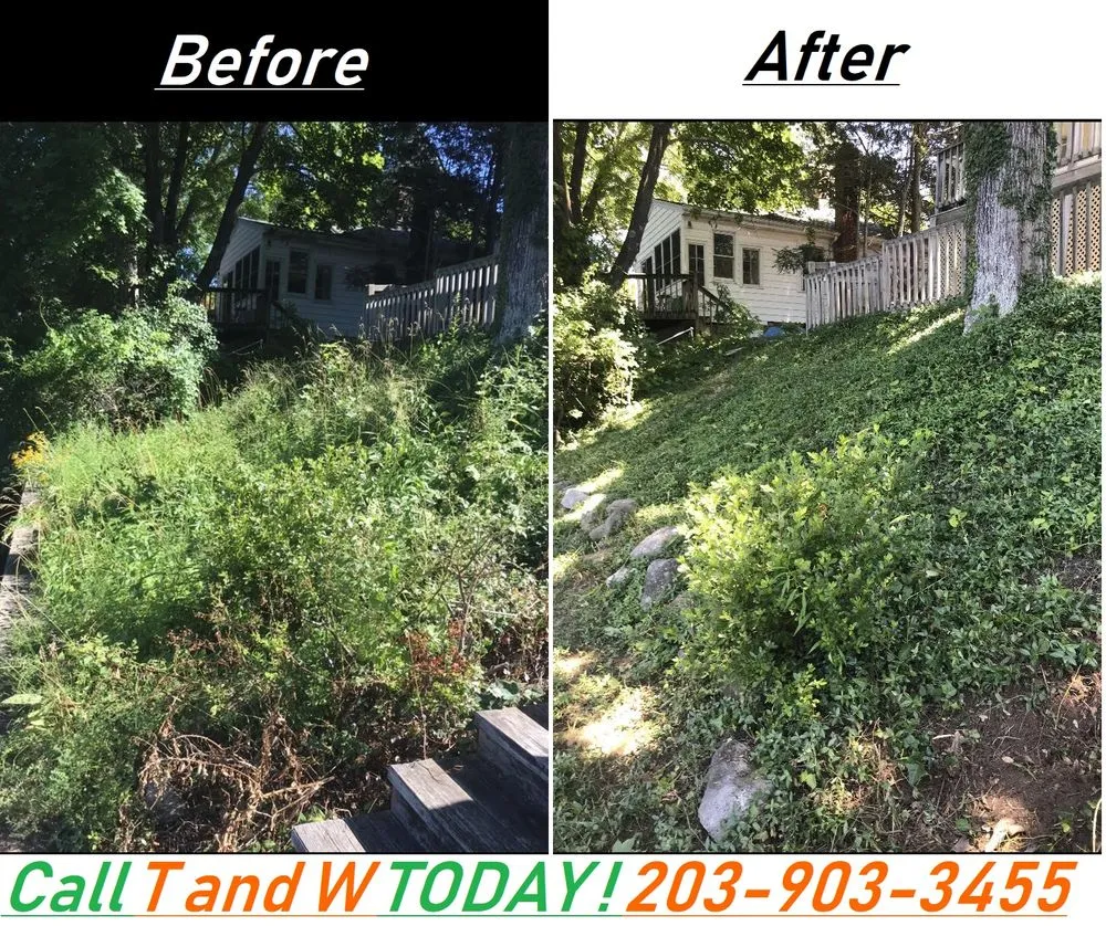 Top-rated landscape design near you in Guilford, CT by T and W Landscaping