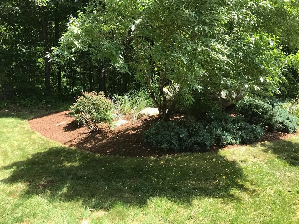 Top-rated yard cleanup service in Guilford, CT - T and W Landscaping