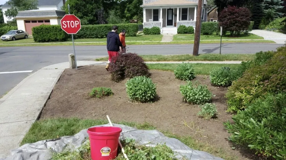 Local landscape design for outdoor upgrades across Guilford, CT - T and W Landscaping