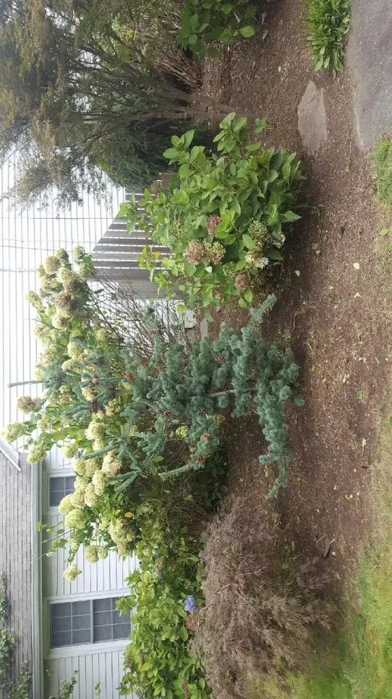 Affordable garden landscaping for beautiful yards in Guilford, CT by T and W Landscaping