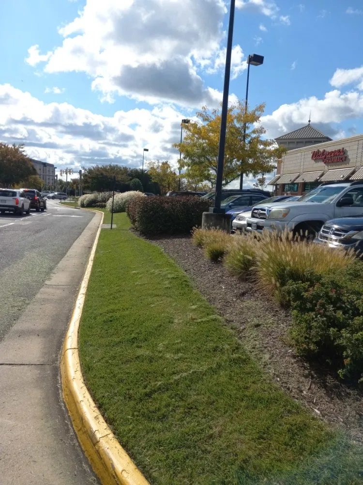 Top-rated landscaping services experts serving Hampton, VA - T And Wingate Lawncare