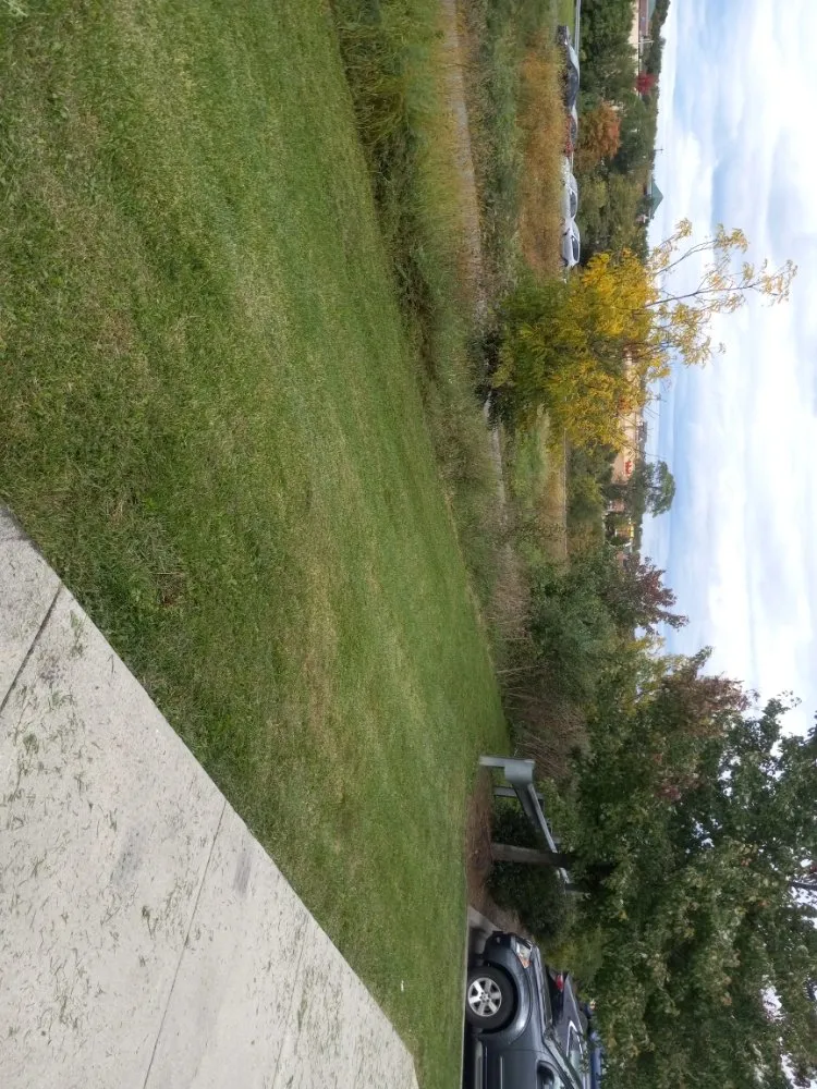 Top-rated landscape installation for homes in Hampton, VA by T And Wingate Lawncare