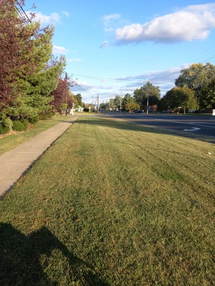 Expert yard maintenance in Hampton, VA by T And Wingate Lawncare