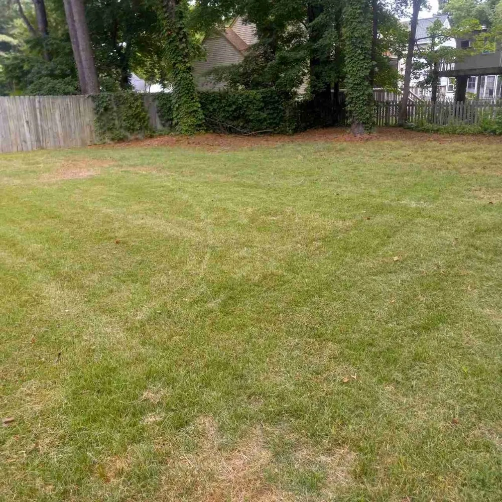 Affordable yard maintenance in Hampton, VA - T And Wingate Lawncare