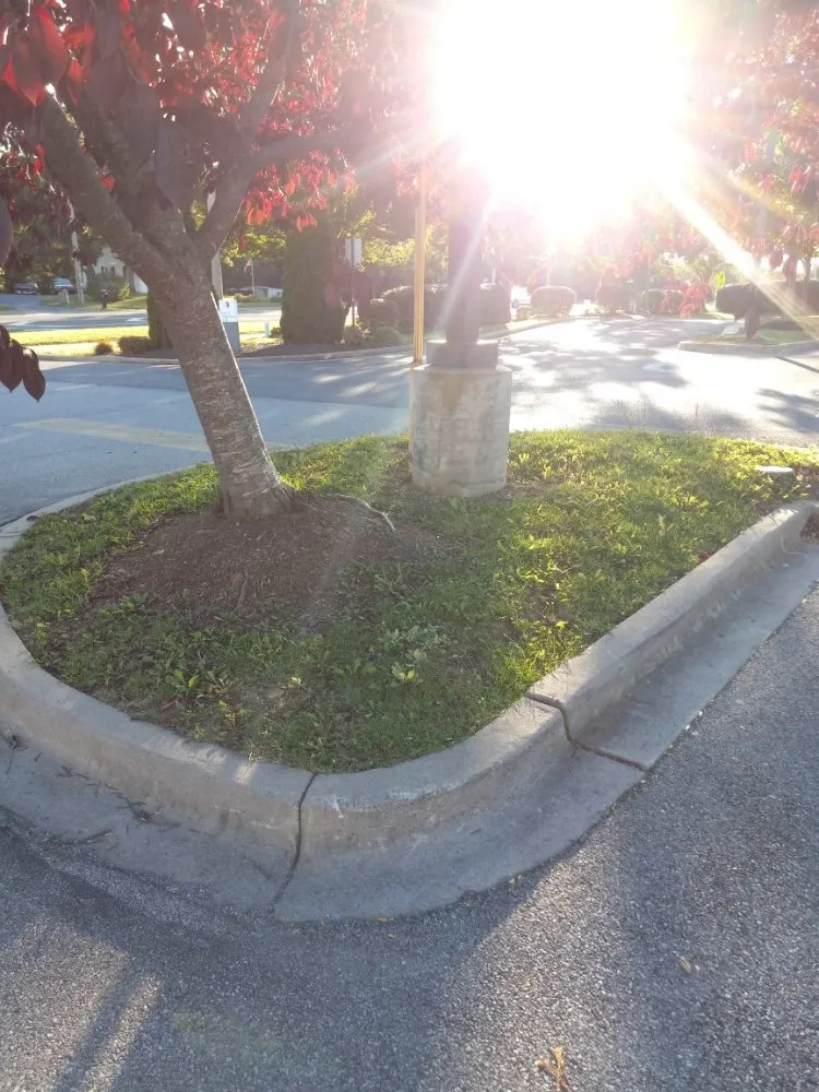 Custom landscape design experts serving Hampton, VA - T And Wingate Lawncare