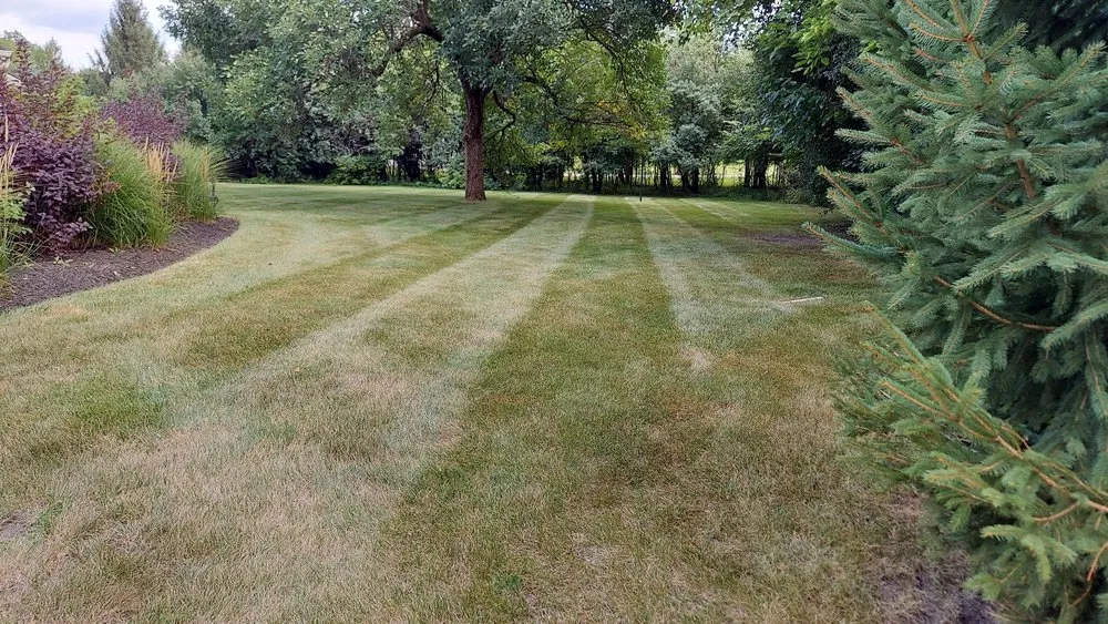 Affordable landscape design in Downers Grove, IL - T B K Landscape Services