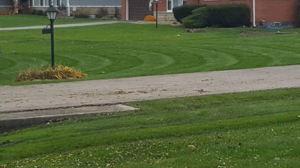 Trusted outdoor landscaping for outdoor upgrades across Downers Grove, IL - T B K Landscape Services