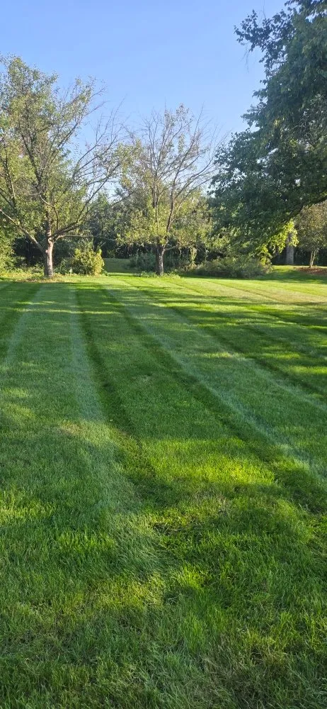 Professional residential landscaping in Downers Grove, IL - T B K Landscape Services