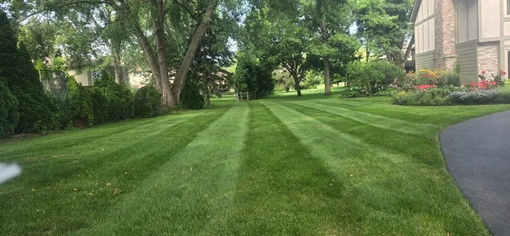 Trusted yard cleanup service for year-round maintenance across Downers Grove, IL - T B K Landscape Services