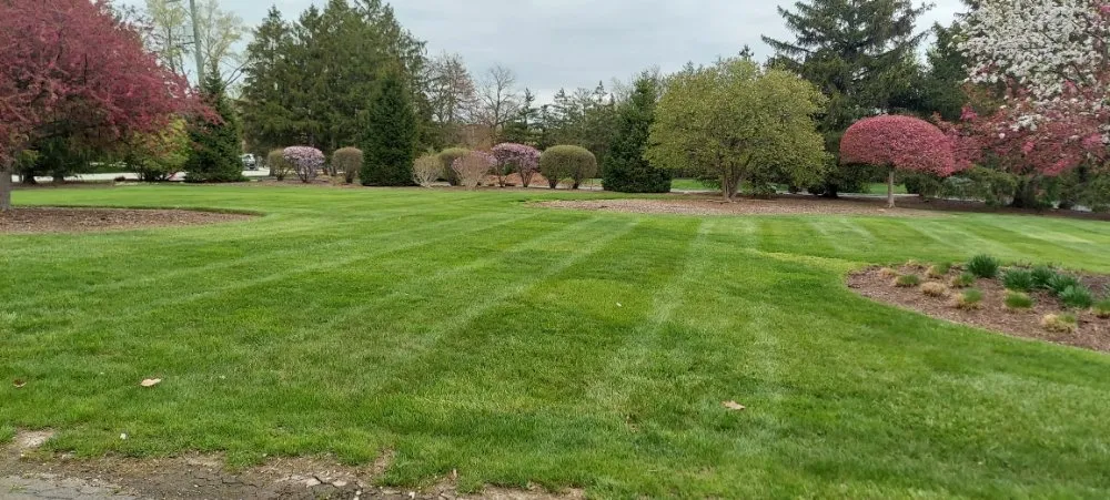 Local lawn care service with custom design across Downers Grove, IL - T B K Landscape Services