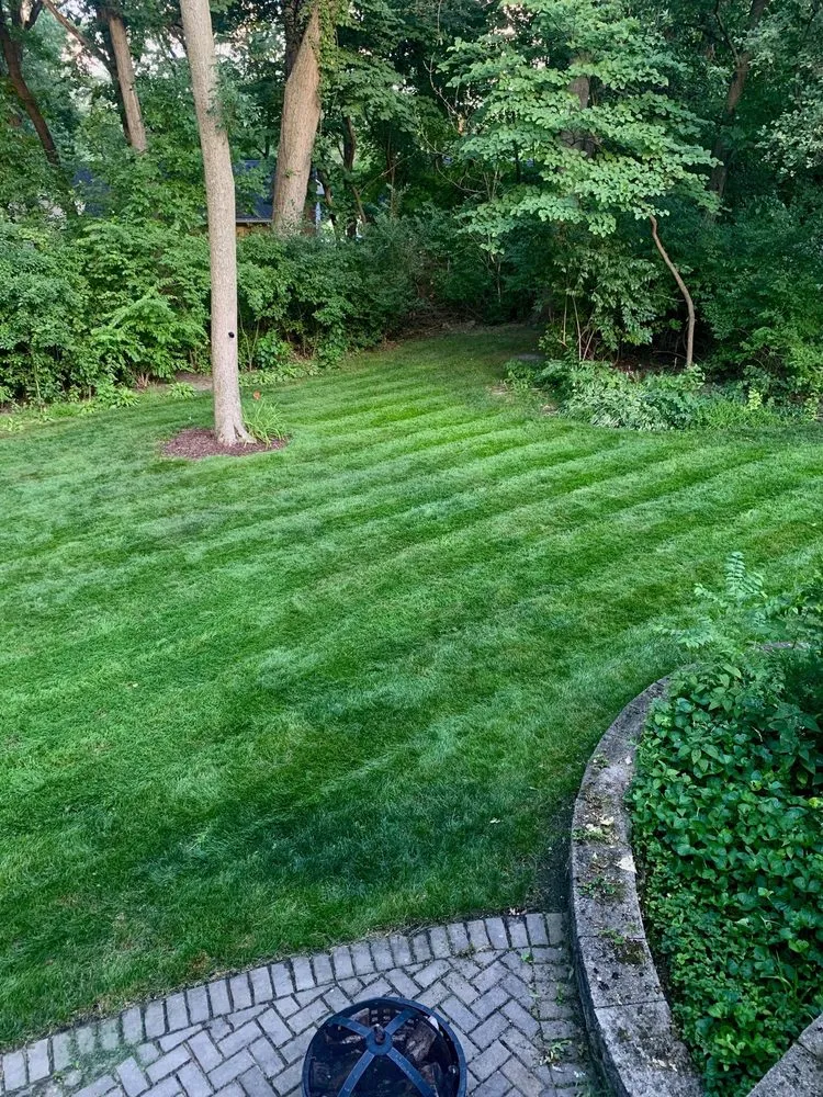Local lawn care service near you across Downers Grove, IL - T B K Landscape Services