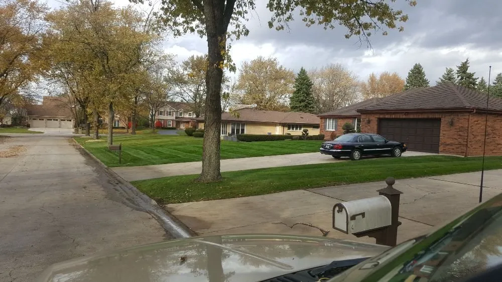 Custom yard maintenance experts serving Downers Grove, IL - T B K Landscape Services