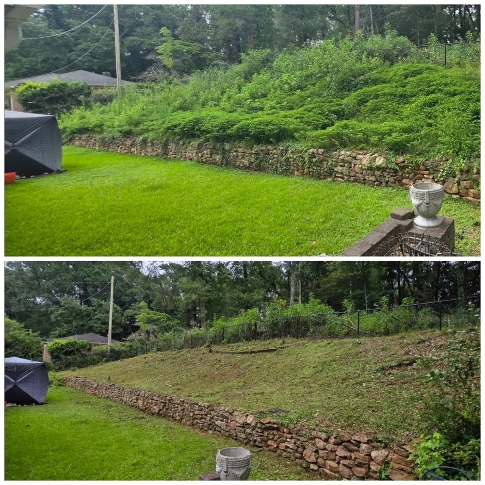 Reliable yard cleanup service for homes in Thomaston, GA by T Bloodser's Lawncare