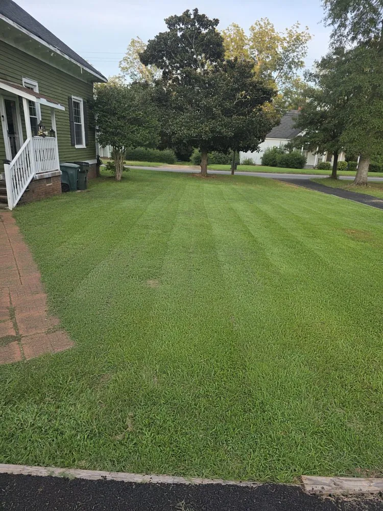 Reliable landscaping services for year-round maintenance across Thomaston, GA - T Bloodser's Lawncare