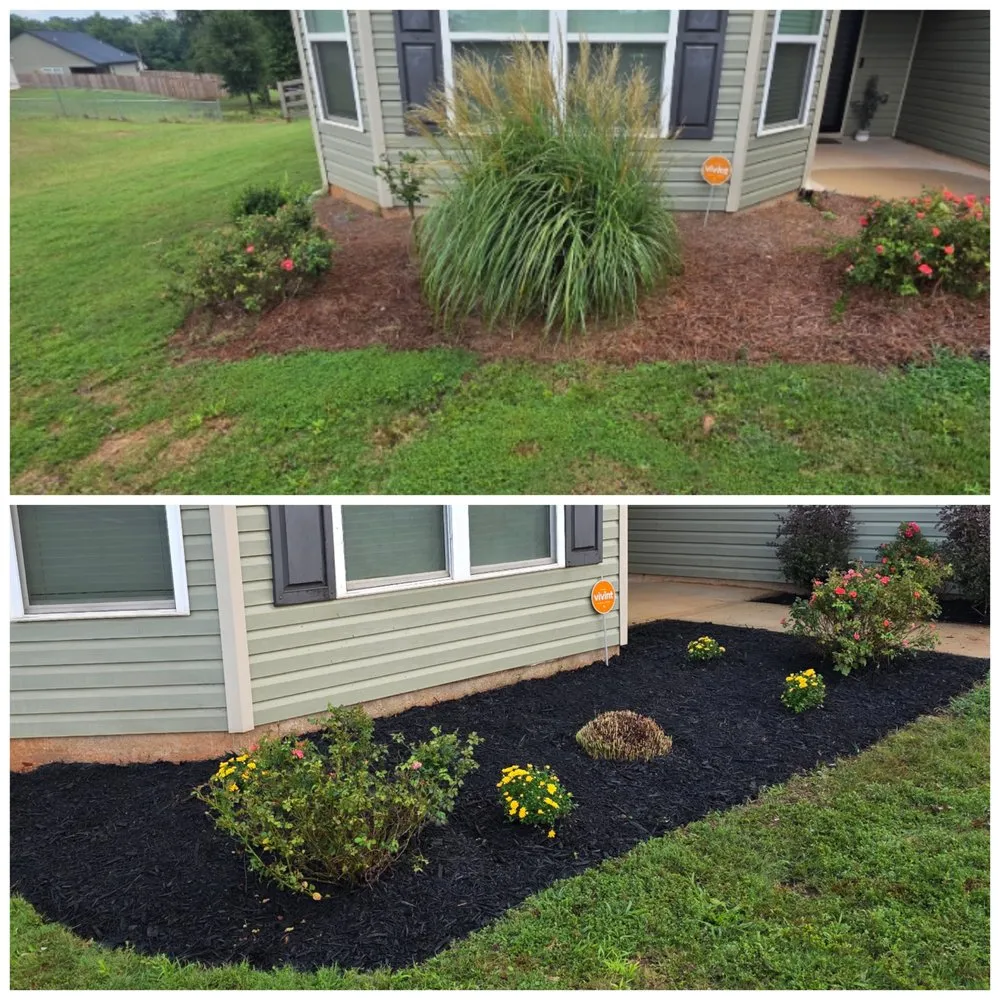Reliable landscaping services experts serving Thomaston, GA - T Bloodser's Lawncare