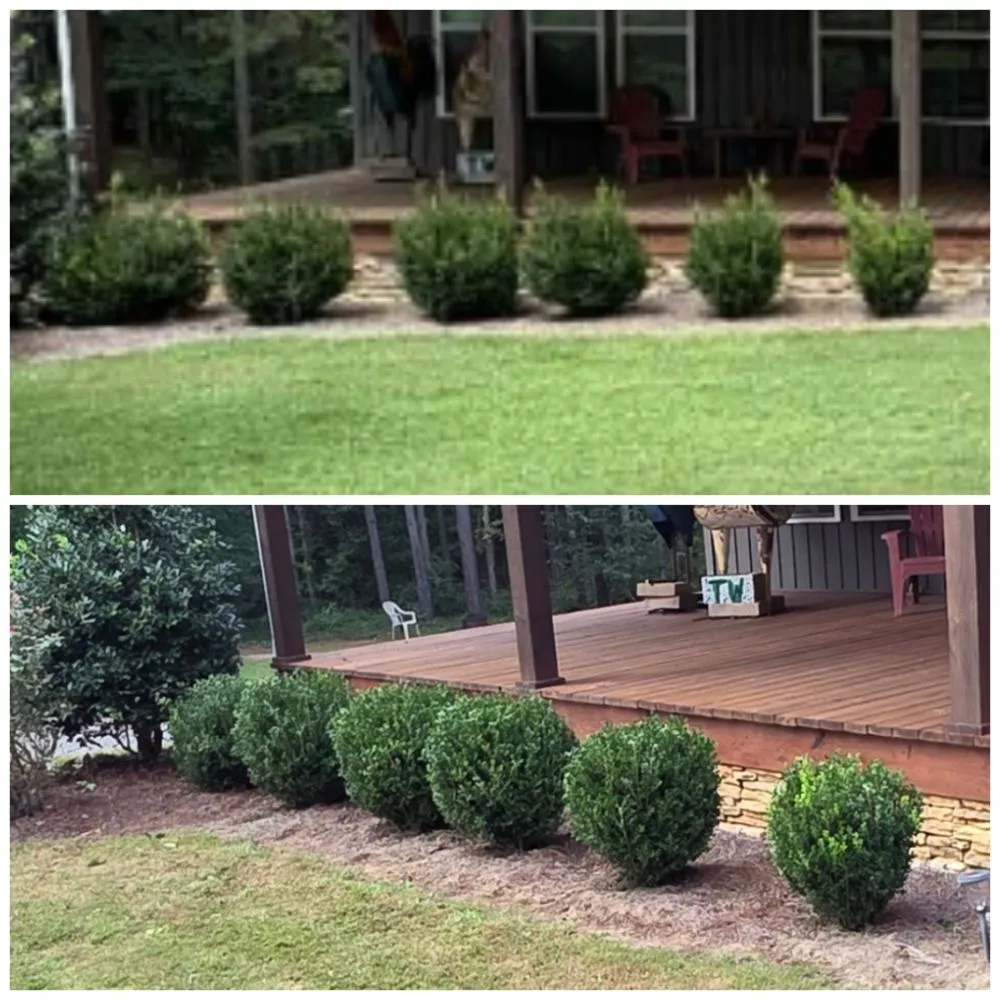 Custom lawn mowing service in Thomaston, GA - T Bloodser's Lawncare