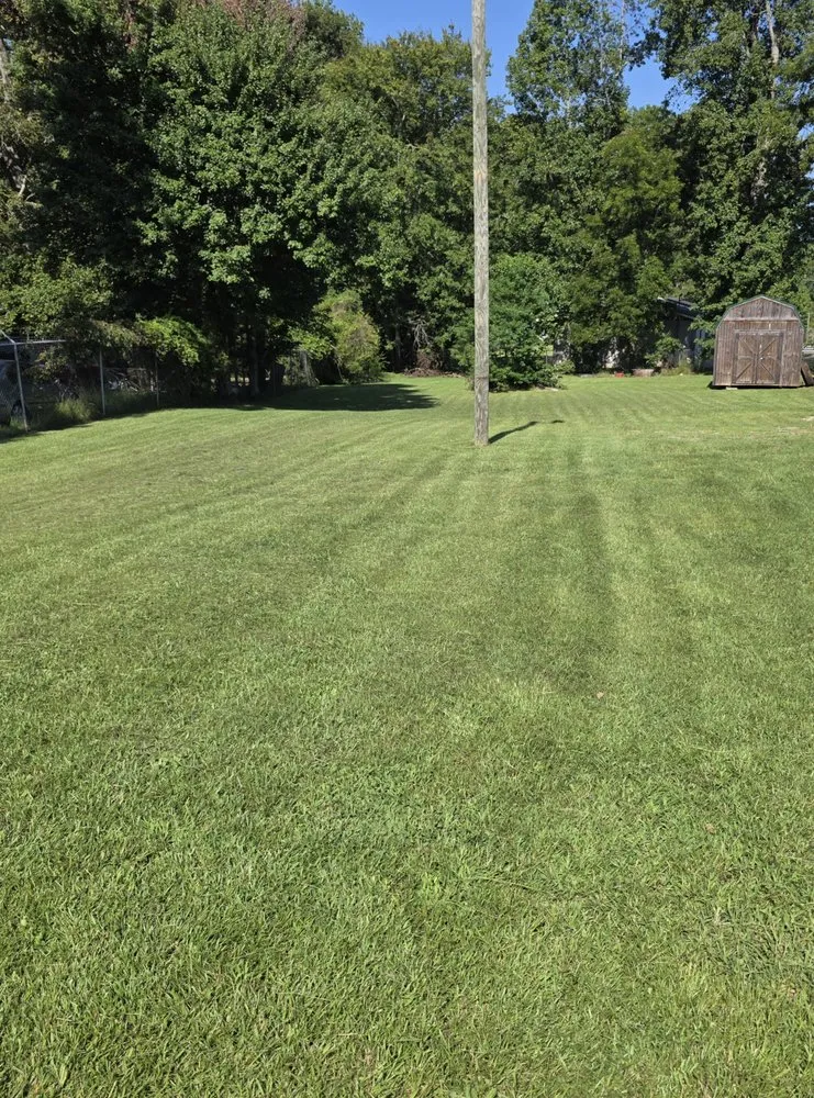 Trusted landscape design experts serving Thomaston, GA - T Bloodser's Lawncare