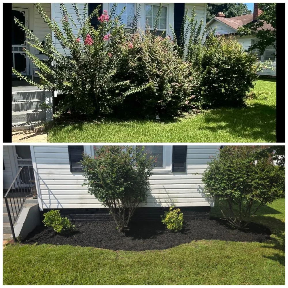 Professional outdoor landscaping for residential properties across Thomaston, GA - T Bloodser's Lawncare