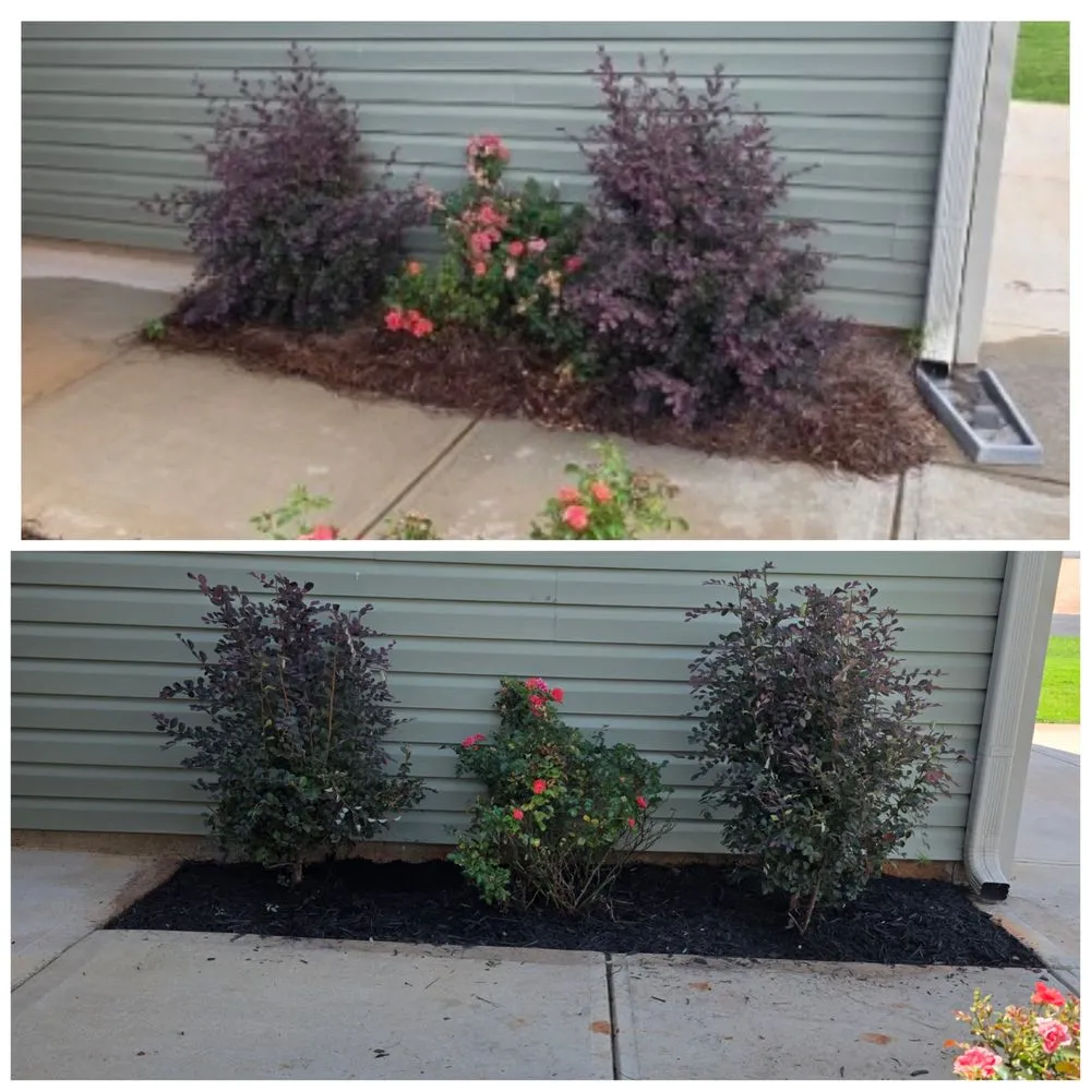 Affordable landscape installation in Thomaston, GA - T Bloodser's Lawncare