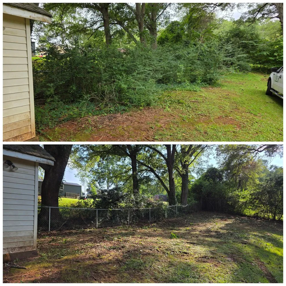 Custom landscape installation for year-round maintenance in Thomaston, GA by T Bloodser's Lawncare