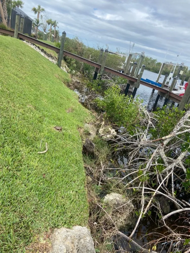 Expert lawn care service experts serving Port Charlotte, FL - T Bro Outdoor Renovation