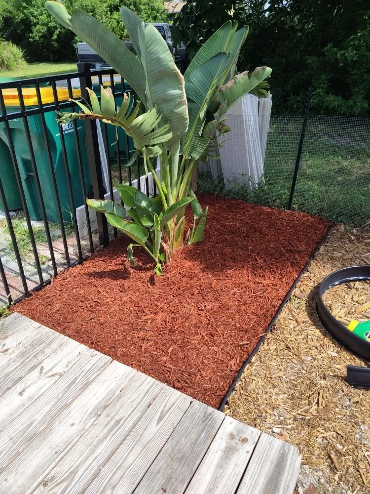 Affordable landscape installation near you across Port Charlotte, FL - T Bro Outdoor Renovation