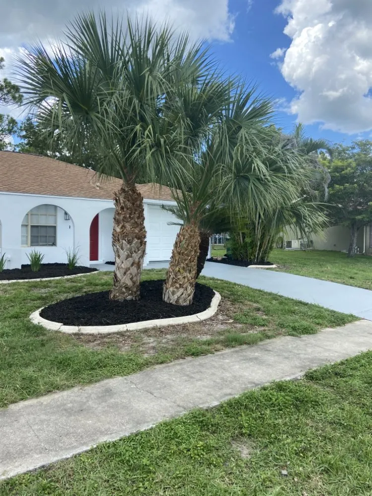 Trusted landscape installation for homes in Port Charlotte, FL by T Bro Outdoor Renovation