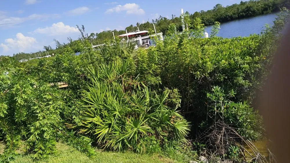 Expert landscaping services in Port Charlotte, FL by T Bro Outdoor Renovation