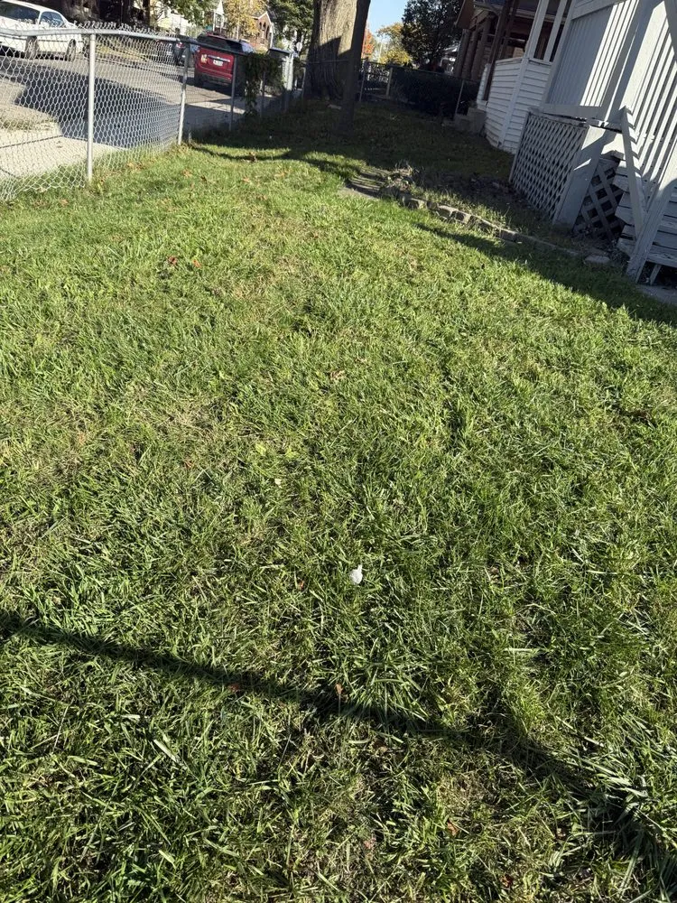 Trusted yard maintenance for outdoor upgrades in Groveport, OH by T Colley Property Services