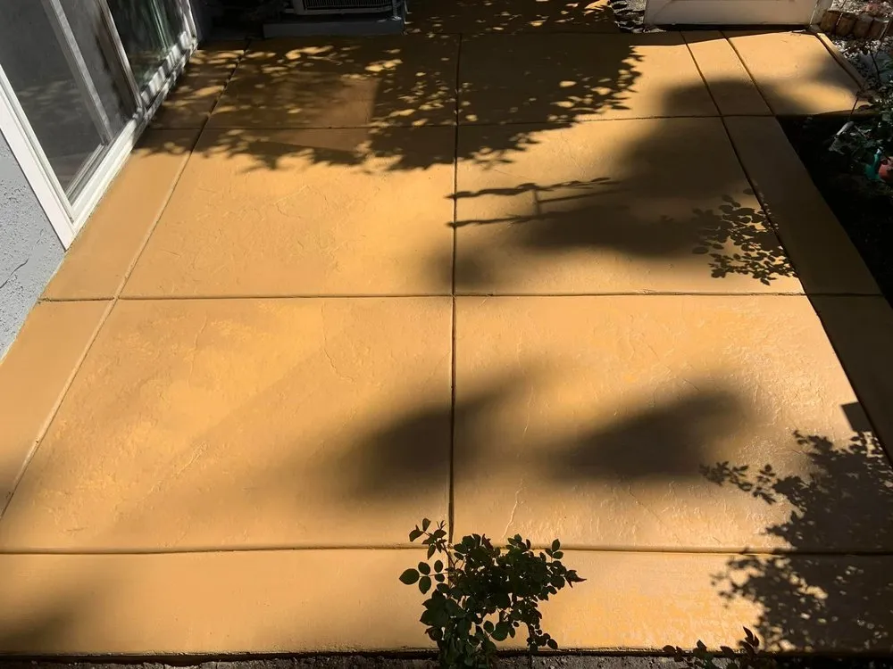 Expert outdoor landscaping for year-round maintenance in Menifee, CA by T Concrete Related and Masonry Construction