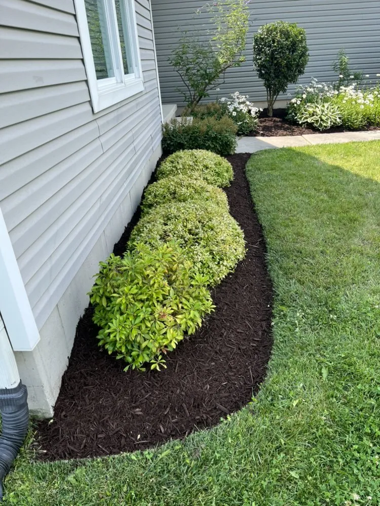 Trusted lawn care service experts serving Georgetown, DE - T Cruz Landscaping