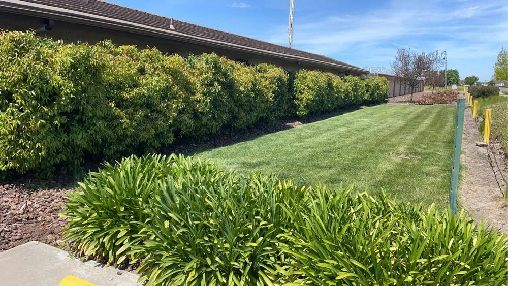 Custom residential landscaping in Modesto, CA by T D Land Services