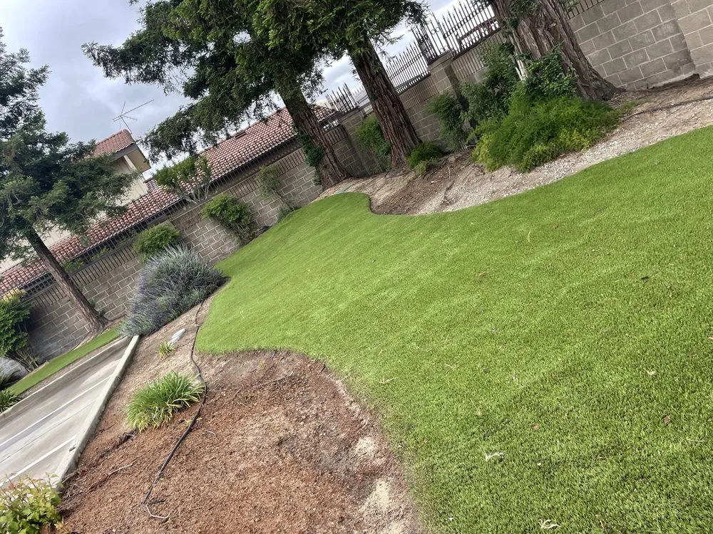 Top-rated yard cleanup service for outdoor upgrades in Modesto, CA by T D Land Services